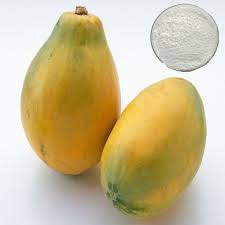 Papain (carica papaya enzymes)