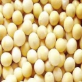 Tinh chất mầm đậu nành (soy Isoflavone)