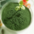 Tảo Spirulina Nhật Bản